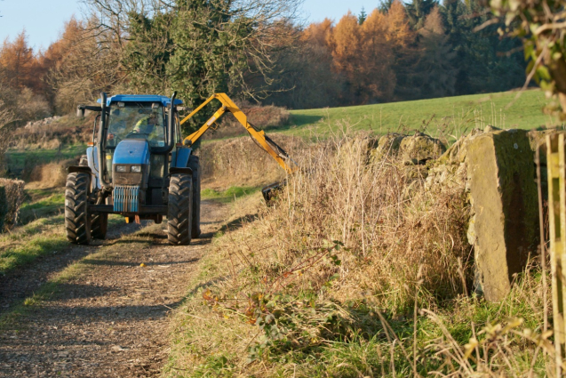 Brûlage des déchets verts