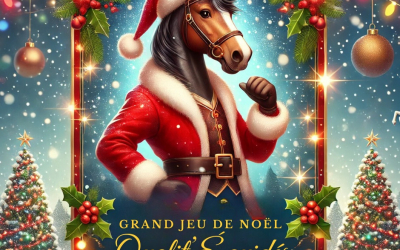🎄📸 CONCOURS PHOTO DE NOËL QUALIT’ÉQUIDÉS 📸🎄