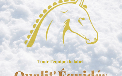 🎉 Cap sur 2025 avec Qualit'Équidés 🎉